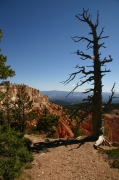 06 - Bryce Canyon NP (4)